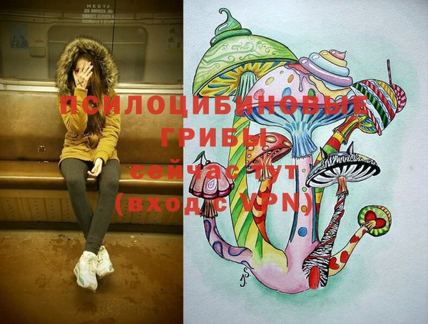 МДМА Надым
