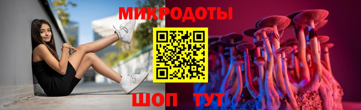 Псилоцибиновые грибы Psilocybe Заречный